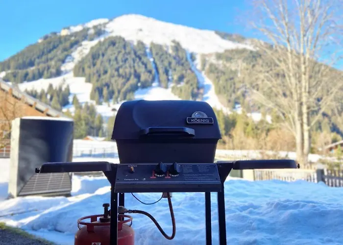 Chalet Diablerets